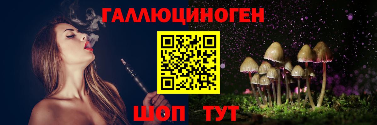 закладки  Вход с VPN  Новодвинск  Псилоцибиновые грибы GOLDEN TEACHER 